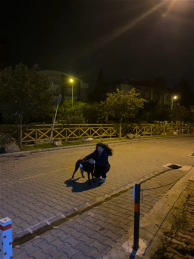 aşkımmm🤍#köpekk #köpeksevgisi #kessffeeettttttt #kessffeeettt