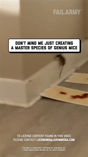i gave him a bunch of mountain dew and he's smart now 😩 🤣 #mouse #mousetrap #mousetrapfail #animalfail #mice #epicfail #fail #fblifestyle | FailArmy