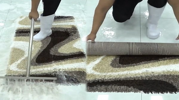 Expert Carpet and Rug Cleaning with Soap Water and Machines
