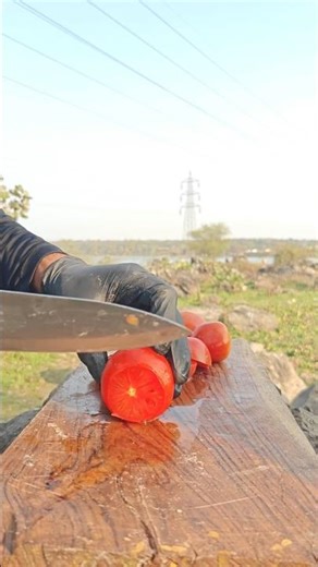 Rustic Tomato Flatbread ASMR 🍅🔥 | Outdoor Cooking in Nature