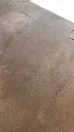 Stacks Workout Challenge! Lets see what you got! #fittok #viral #foryou #foryoupage