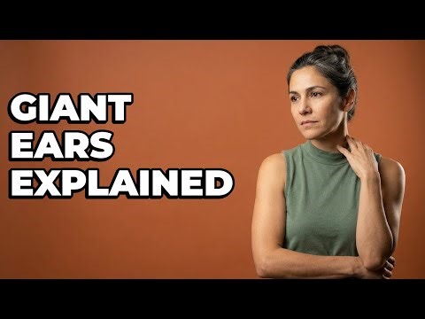 What Makes Jackrabbit Ears So Unique?