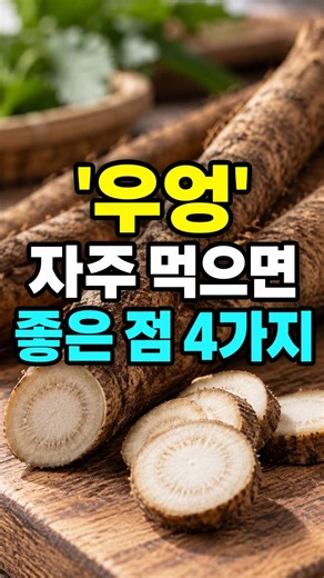 우엉을 자주 먹으면 좋은 점 4가지