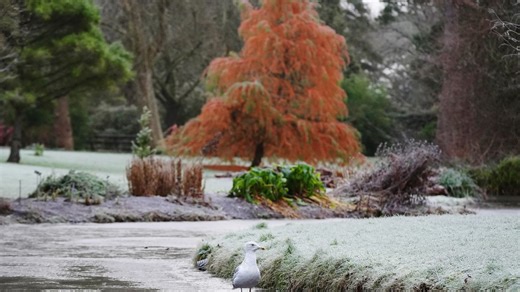Exact day snow to hit amid -3C cold snap as Met Eireann in 'wintry' update