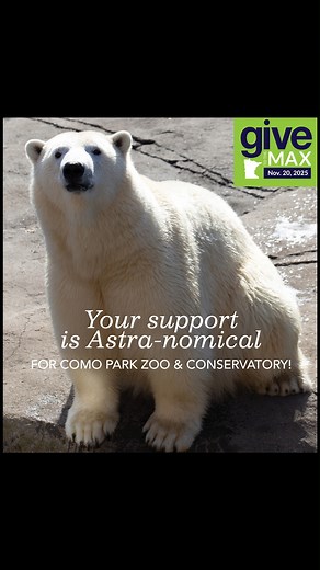 176 reactions · 22 shares | Cute, curious, and capable of some very...