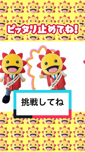 ピッタリチャレンジを楽しもう！
