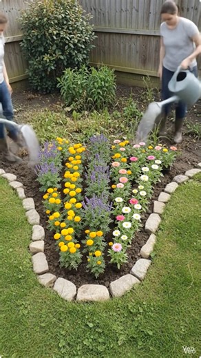 Backyard Flower Garden Transformation | From Empty Bed to Colorful Paradise 🌼
