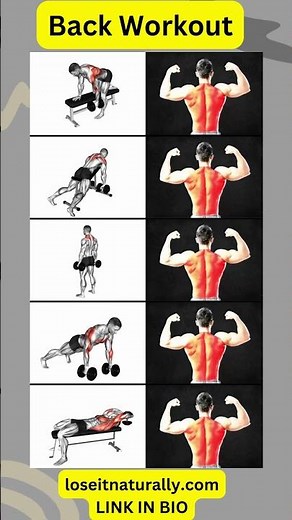 Gym Back Workouts: Top Machines and Free Weight Exercises