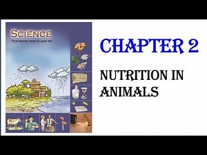 7th Science NCERT in tamil Chapter 2 Nutrition in Animals