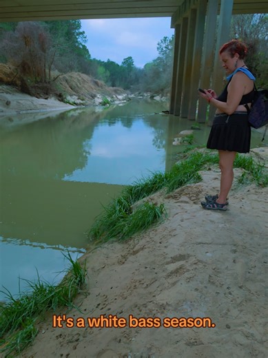 Unusual Fishing Encounters: A Day Filled with Surprises