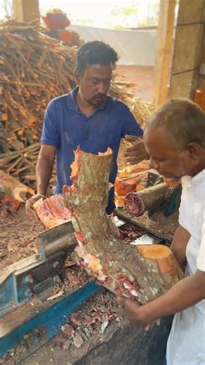 Crazy Wood Splitting #machine #shorts #firewood #processor #woodwork