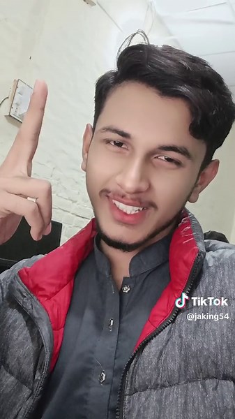 Funny Dog or Log Comparison