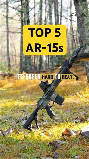 Best AR-15s For Your $$$: Daniel Defense DDM4V9