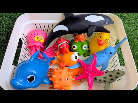 Kids Learn Sea Animals with toys & real ocean animals: Ocean Animals Names & home Learn Preschool