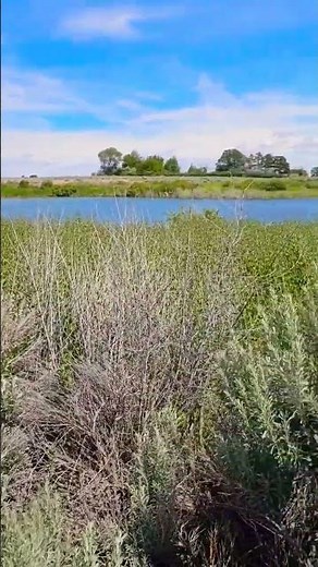 MOSES LAKE WASHINGTON