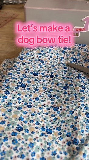 Sewing a cute little dog bowtie today! 🐾🎀 It’s super simple, beginner-friendly, and the perfect way to use up scrap fabric. Quick to make and your pup will look adorable! Follow along for more fun sewing ideas – and tag me if you make one! #DogBowtie #SewingForBeginners #ScrapBusting #PetAccessories #MadeByIsobelVictoria #EasySewingProjects #HandmadeWithLove #SewMuchFun #SewingInspiration #CreativeProjects | Made by Isobel Victoria