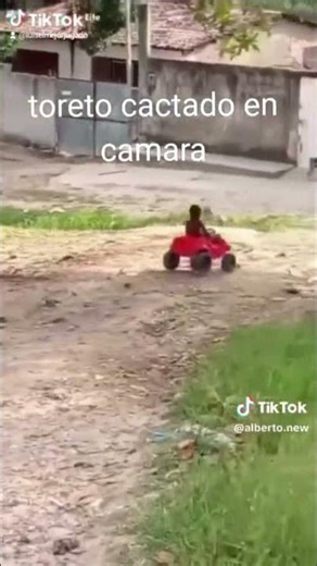 toreto cactado en camara 😎🤙