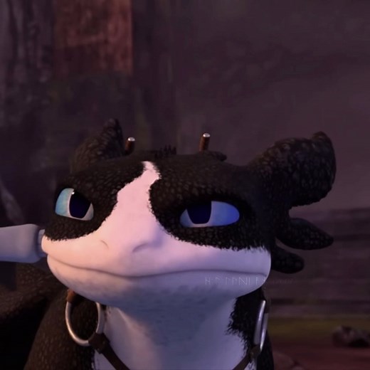 Night Fury Fan Edits: Captivating Toothless Moments