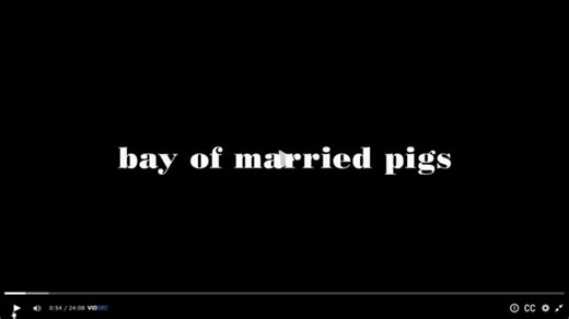 Single vs. Married Life