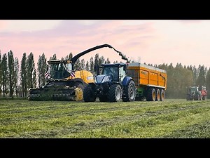 Ensilage d'herbe 2021☘️🚜🌱 | Ensileuse New Holland FR 480 + 3 Ensembles magnifique (tracteur benne) |