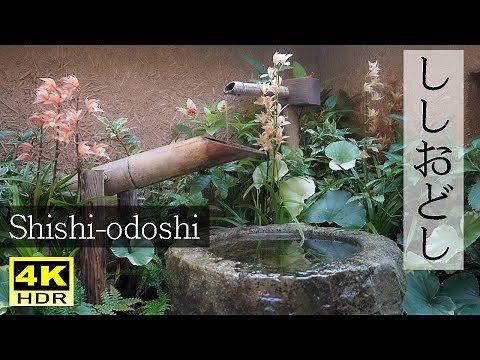 4K ししおどし 日本庭園 自然音 デジタルインテリア | Bamboo Water Fountain Japanese garden