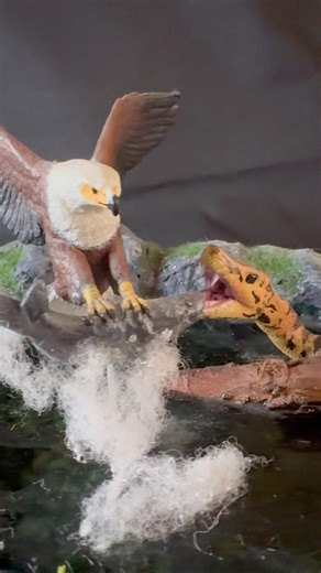 Eagle vs Anaconda Snake Battle 🦅🐍 | Polymer Clay & Resin Wildlife Diorama | Predator Fight Scene