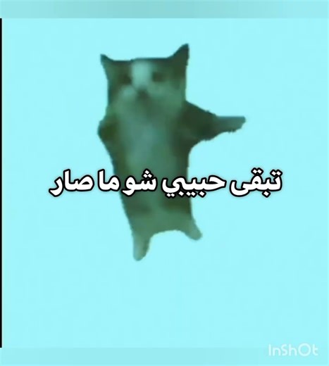 حسابي صار عشوائي بشكللللل😭🖐🏻 #جيش_ميمي_روب #طلبك #شلتنا#نوصل_2000_مشترك