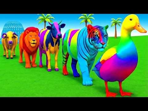 Long Slide Game With Elephant Gorilla Buffalo Hippopotamus Tiger 3d Animal Game Funny 3d Animals