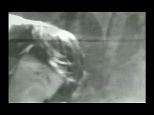 El Mato A Un Policia Motorizado - El Dia del Huracan (No Oficial)