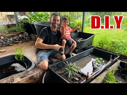 Easy DIY TURTLE Pond SETUP