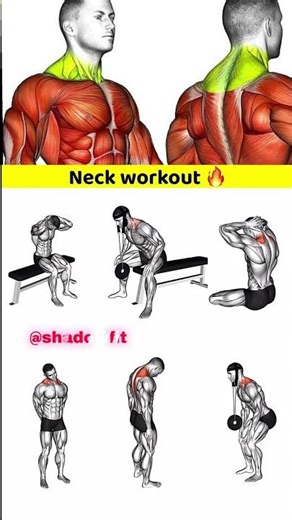 Build a Stronger Neck FAST 🔥 | Gym Neck Training #gymworkout #neckworkout #shortsfeed