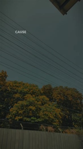 Heaven Knows #CapCut #heavenknows #viralfyp #skylyrics #flower #foryou