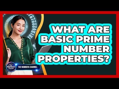 What Are Basic Prime Number Properties?