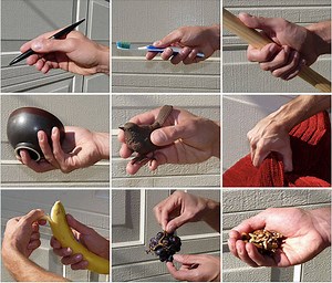 Computer-human interaction that gives hands their due respect