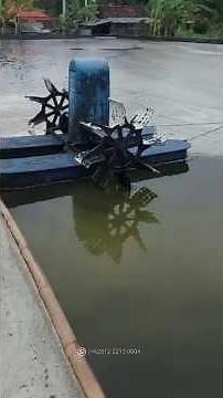 Aplikasi Microbubble Generator Di Tambak Udang. #budidayaudang #udangvaname #aquaculture #nanobubble