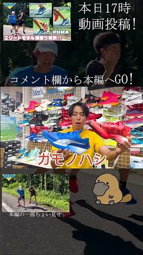 PUMA エリートモデル比較を要チェックや!! #stepsports #puma