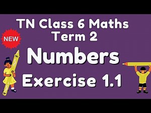 TN Class 6 Term 2 Exercise 1.1 Full Numbers AlexMaths