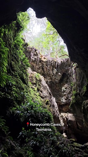 Honeycomb Caves is an awesome little cave to explore with temperatures cold enough to cool you down 👌 #caves #cold #rocks #water #visitaustralia #tasmania #caveside #westmorland #fyp