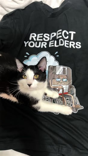 Respect Your Elders Tech Tee - Funny Cloud Storage Floppy Disk T-Shirt - Perfect Gift for Gamers & IT Pros - Vintage Computing Humor - Soft Cotton Graphic Shirt