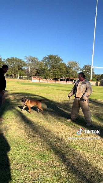 K9 Training and Outdoor Arena Security Tips