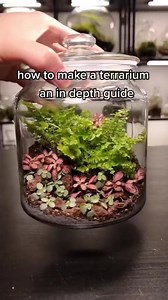 73K views · 2.2K reactions | How to make a terrarium - in depth guide | Worcester Terrariums | Facebook