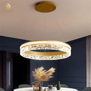 [Hot Item] Modern Simple Luxury LED Ceiling Light Customizable Table Light for Living Room