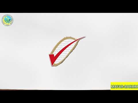 INFO| Sistemang Palay Check : Key Check 1, 2, and 3