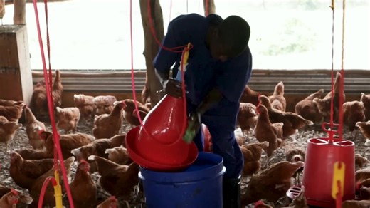 16K views · 718 reactions | My Secrets On How To Beat Other Farmers. | Farm Up | Facebook