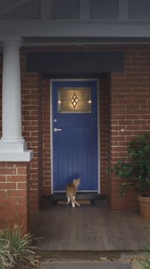 RACV Home Insurance helps Victorians protect their home for a range of events, such as fire, theft and storm. General advice only. Consider the Product Disclosure Statement and Target Market Determinations. For copies, visit racv.com.au. RACV Insurance Services Pty Ltd receives commission as distributor. Products issued by Insurance Manufacturers of Australia. | RACV