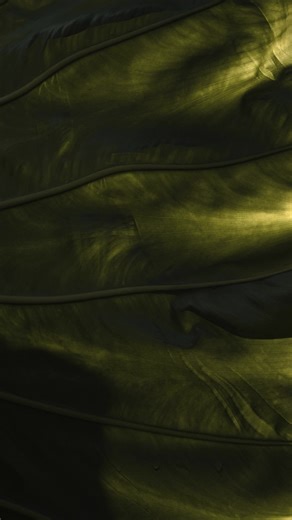 functional fragrance co (@functional.fragra)’s videos with original sound - functional fragrance co