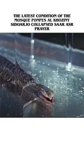 movies creation official on Instagram: "Movie Name Jules Genre Sci-Fi / Comedy-Drama Movie Length 87 minutes (1 hour 27 minutes) IMDb Rating 6.7/10 (Based on critic and user consensus) Cast BenExplanation: The film centers on Milton Robinson (Ben Kingsley), an elderly widower in a small Pennsylvania town who is dealing with the onset of dementia. His life is disrupted when a UFO crash-lands in his backyard, and he finds a small, mute, blue-grey alien whom he names Jules. Two of his lonely neighb