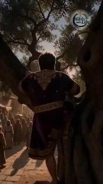 Did Jesus Stop at the Sycamore Tree?” then why did he call him by name #bible #zacchaeus #story