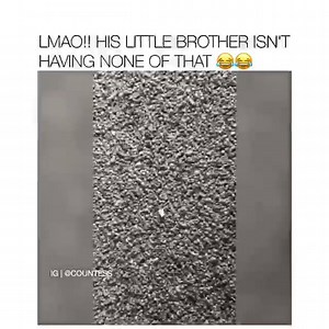 OMG😂😂😂 | Awesome Excited