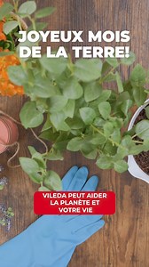 A clean-clean you can feel extra good-good about.🌎 Here at Vileda, we celebrate Earth Month every month with products that help you clean towards a sustainable future. ​ #ViledaCleanClean #EarthMonth Faire du ménage, ça fait réellement du bien. 🌎 Chez Vileda, on célèbre le mois de la Terre douze mois par année en offrant des solutions de nettoyage durables qui vous aident à faire briller votre maison et l’avenir de tous. #ViledaPropreProprePropre #MoisDeLaTerre | Vileda Canada